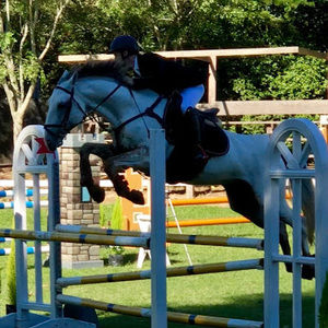 Meet your Posher, Ramon